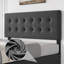 Structure de lit plateforme grand tapissier avec 4 tiroirs de rangement - Tête de lit capitonnée à boutons - Support de lattes en bois - Aucun sommier nécessaire - Couleur: gris foncé (YS188-5) - Taille: GRAND-996789067-996789076