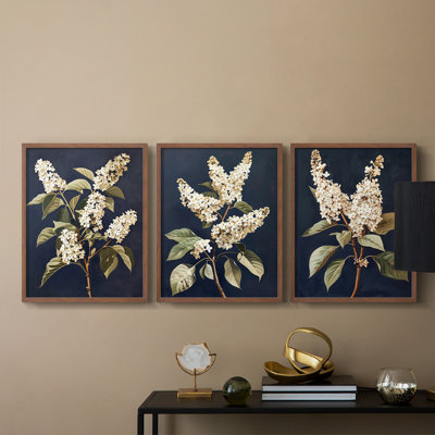 Floral Study  Series  LII  -Set Of 3 Framed Giclee Prints -Ready to Hang