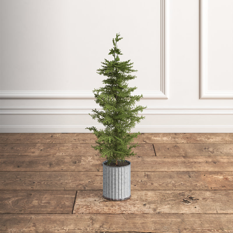 Faux Cedar Tree in Metal Pot, 26" H x 5" W x 5" D