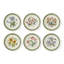 Botanic Garden Etchings, Set Of 6 Dinner Plates
