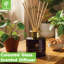 Nicola Spring - Soy Wax Scented Candle & Reed Diffuser Set - Lemongrass-96905669