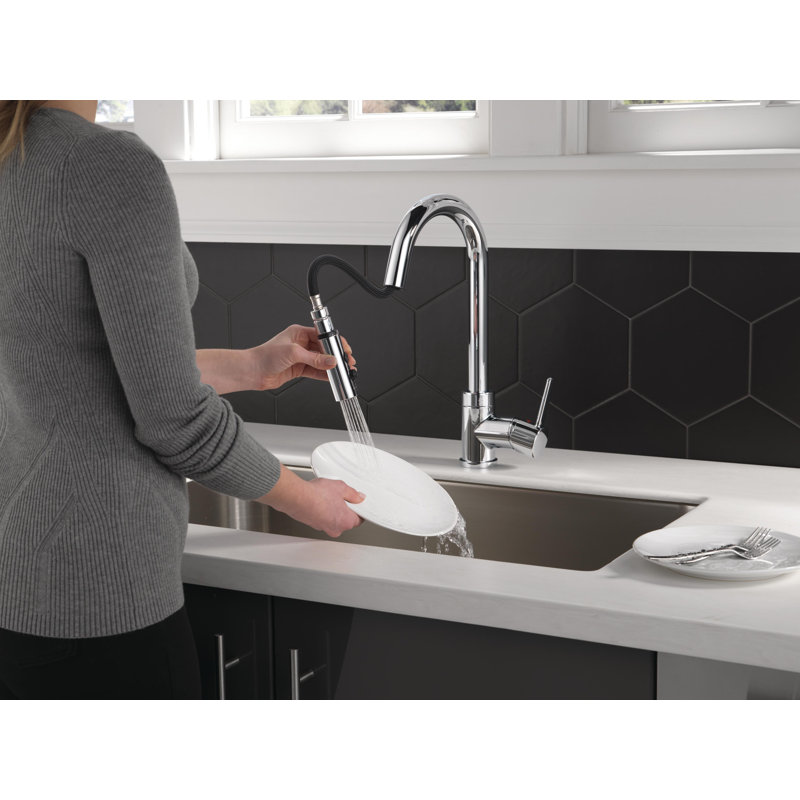 Robinet de cuisine à poignée simple avec accessoires Precept, Chrome