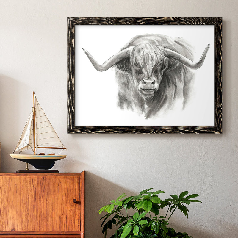 "Soft Focus Highland Catti II", reproduction d'art sur toile, H 18 po x l 26 po, Noir