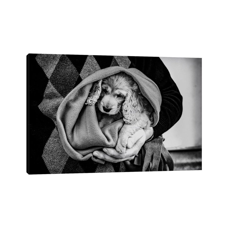 Friendship 1 Piece Wrapped Canvas Wall Art, 20.32cm H x 30.48cm W x 1.905cm D