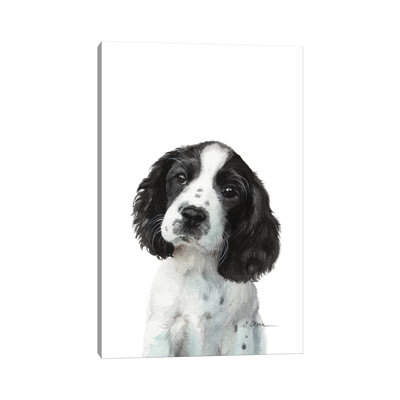 English Springer Spaniel Puppy - Painting on Canvas