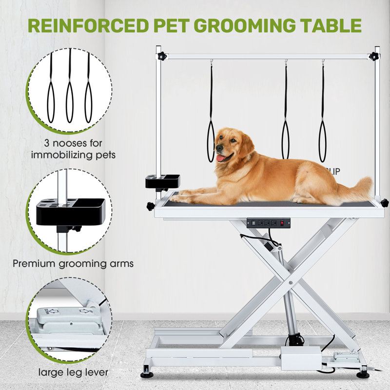 50'' W x Stee Adjustable Dog Electric Grooming Table, White