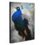 Gorgeous Peacock Bird - Wrapped Canvas-55366066