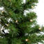 Sapin de Noël artificiel moyen 18 po pré-éclairé avec lumières claires Blackwater