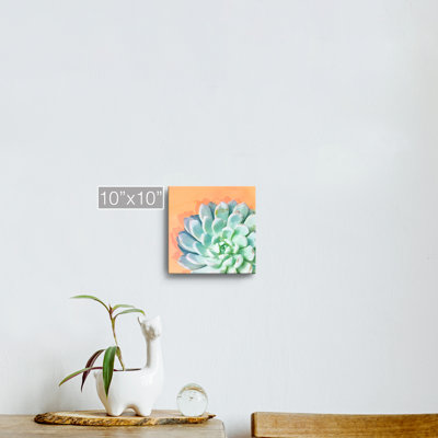 « réveil iv », impression sur toile succulent
