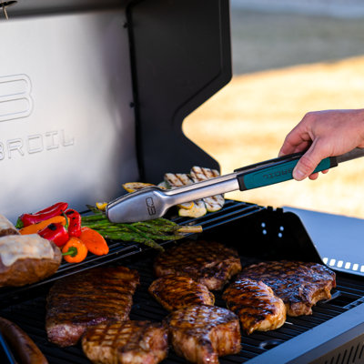 Charbroil Performance Series 5-Burner Gas Grill Cabinet with Side Burner
