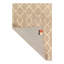 Geometric Area Rug in Ivory