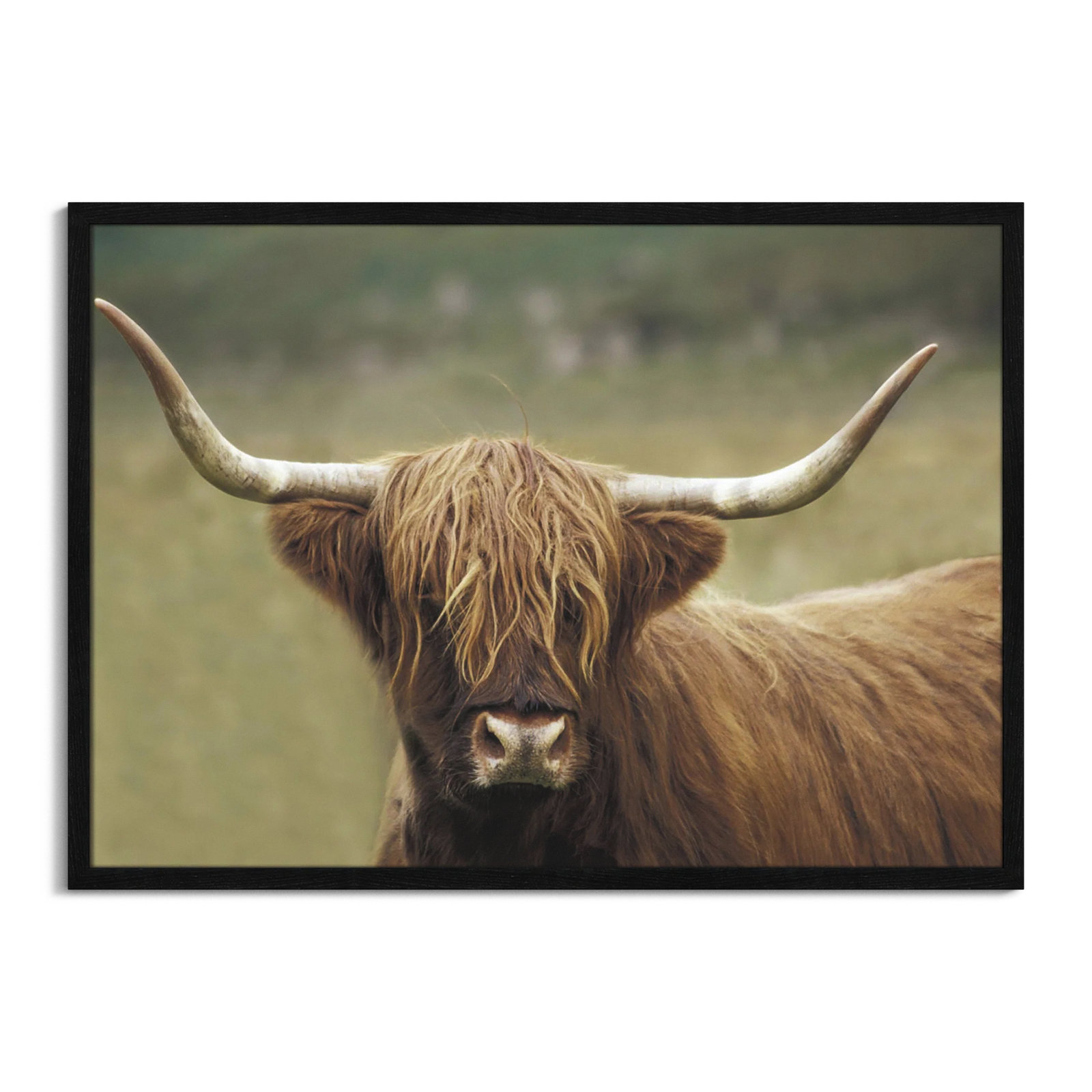 Frederic "Highland Afternoon" Print, 25.5" H x 35.5" W x 0.75" D, Black Wood Grain Framed