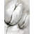 Contemporary Tulips Print On Canvas
