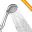 Pippen Rain Handheld Shower Head