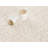 Anissah Indoor Rug-134325906