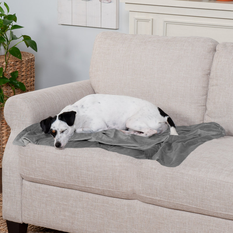 Granite Gray Medium Waterproof Velvet Pet Blanket