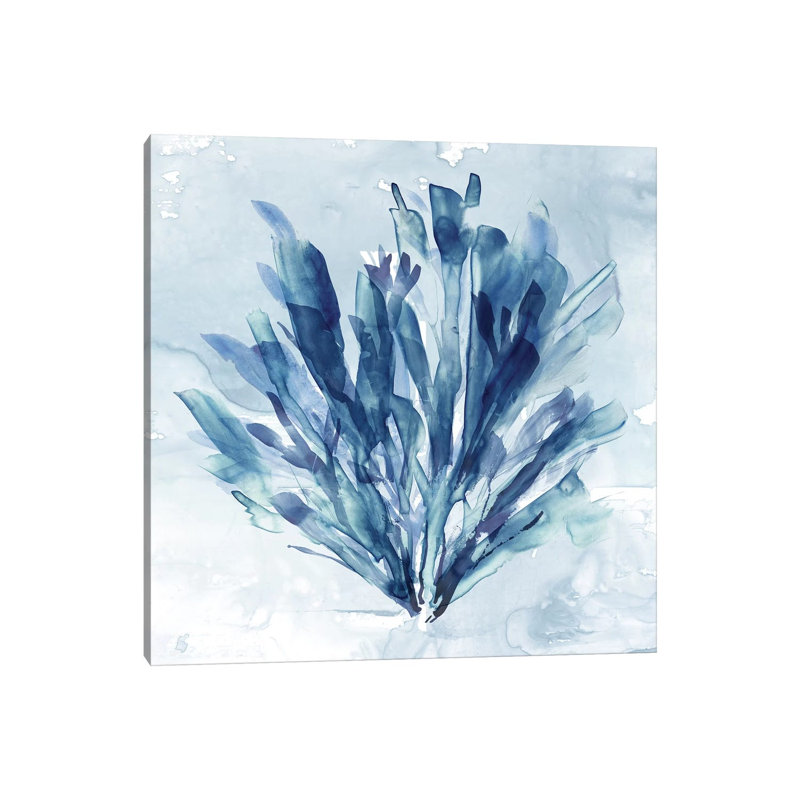 Coastal Coral I by Carol Robinson - Painting on Canvas, Wrapped Canvas, 66.04 cm H x 66.04 cm W x 1.91 cm D