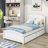 Twin Size Wood Platform Bed with Two Drawers-240155814