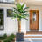 Artificial Banana Tree, Faux Banana Tree With Grey Planter-111312789