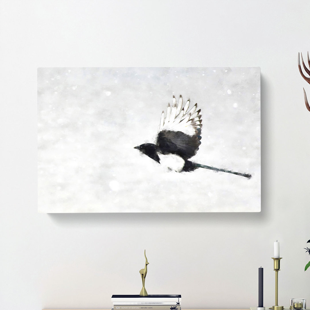 Magpie In Flight - Wrapped Canvas
