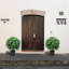 Plante de jasmin 20,98 po