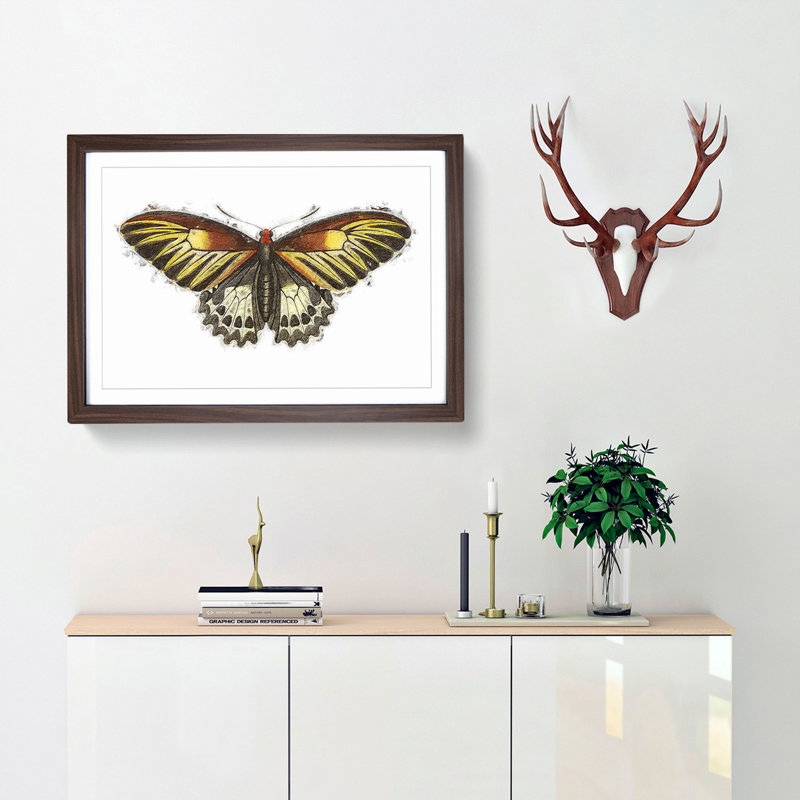 Brown Butterfly by George Shaw - Framed Print, 27cm H x 36cm W x 2cm D, Walnut Framed
