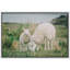 Animaux, Écosse, Irlande, campagne, mouton, agneau-93629502-93629505