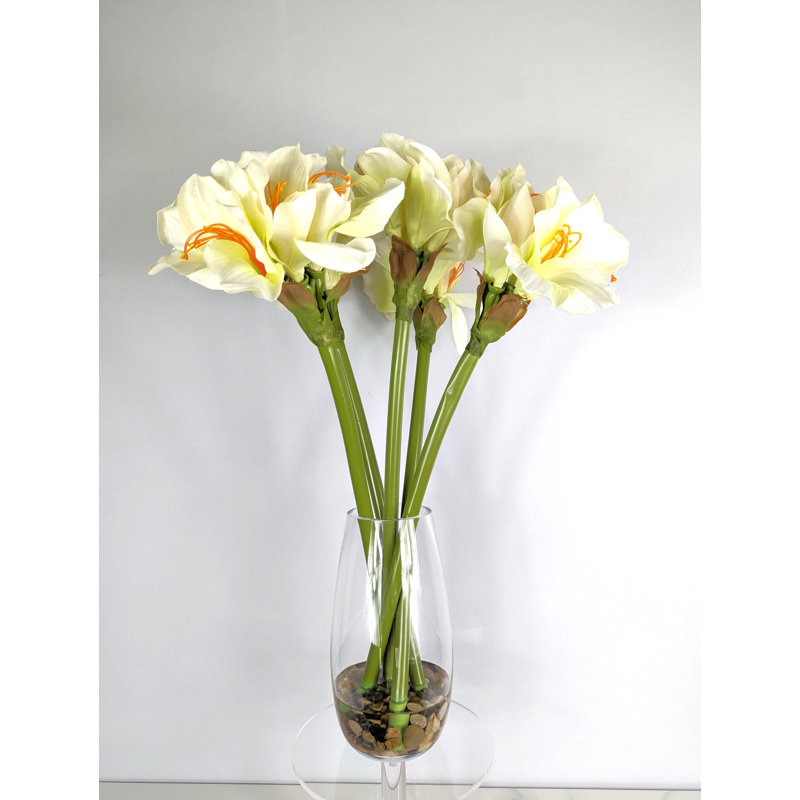 Amaryllis, arrangement floral dans un vase