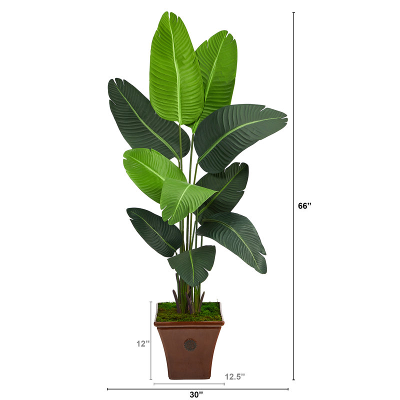 66'' Faux Palm Tree in Planter