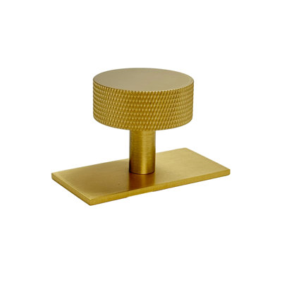Texture Backplate 1.19 in. Knob