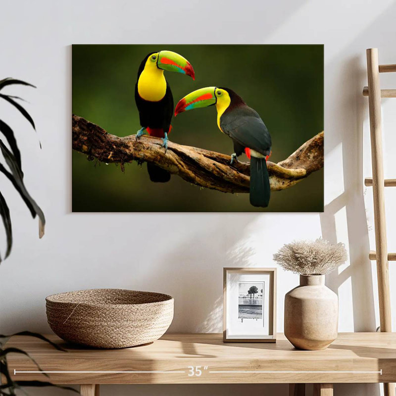 Brampt Toucans On Branch