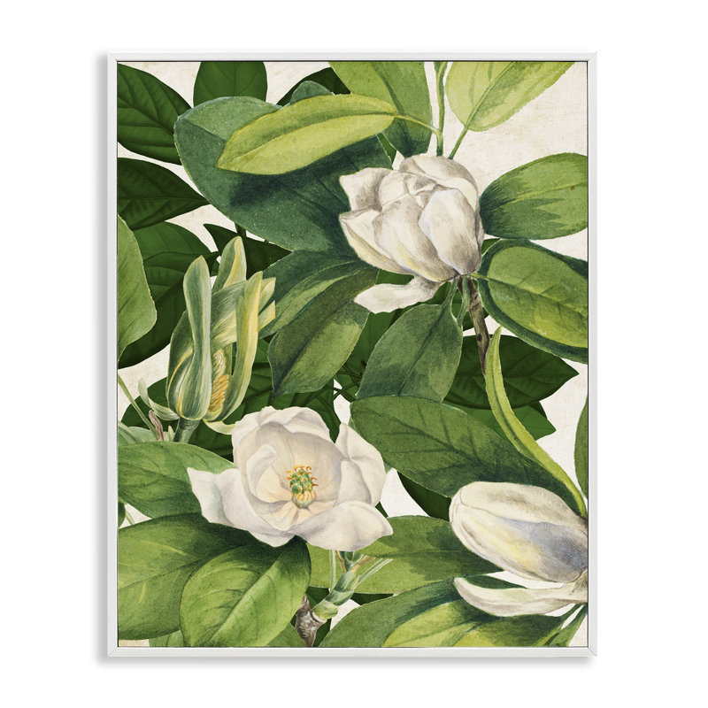 «Giclee Art» par Susan Arnot, H 14 po x l 11 po, Estampe numérique encadrée blanc bord de mer