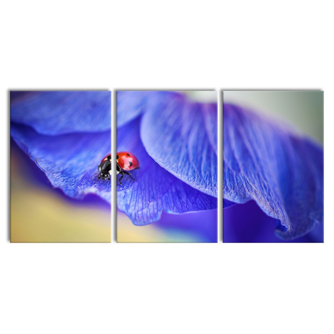 3-tlg. Leinwandbilder-Set Ladybird on Purple Flower