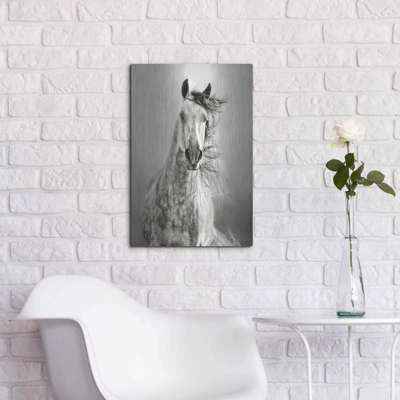 "Caballo De Andaluz" par Lisa Dearing, H 24 po x l 16 po
