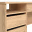 Raha Computer Desk