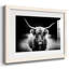 Reproduction photographique Highland C Best-1851836245-1851836244