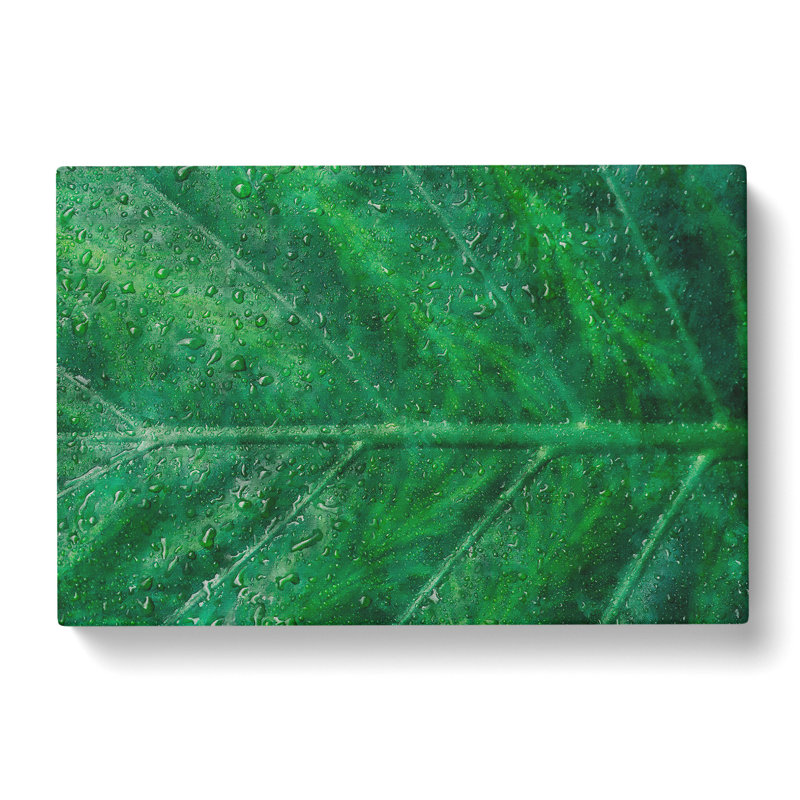 Green Leaf Pattern - Wrapped Canvas Print, 40cm H x 60cm W x 3cm D