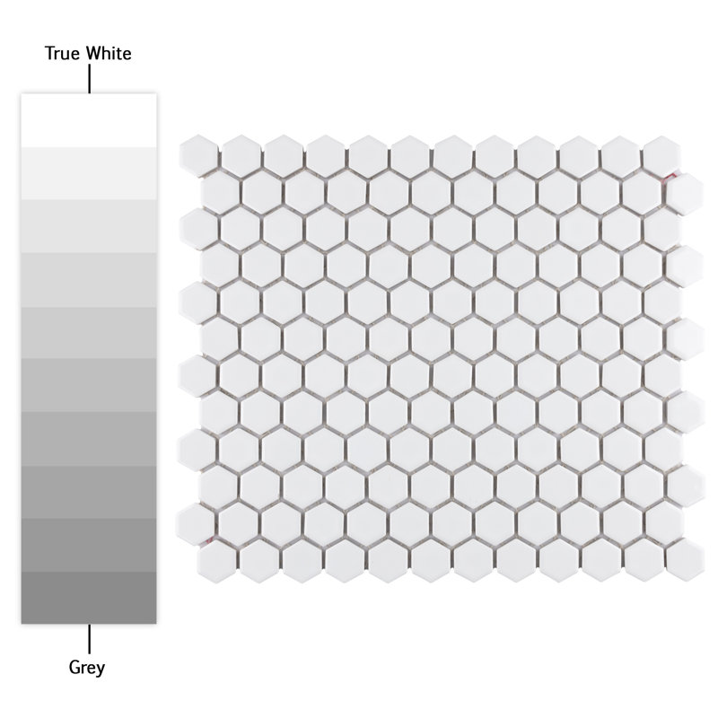 Metro 0.87" x 0.87" Hex Porcelain Mosaic Floor & Wall Tile