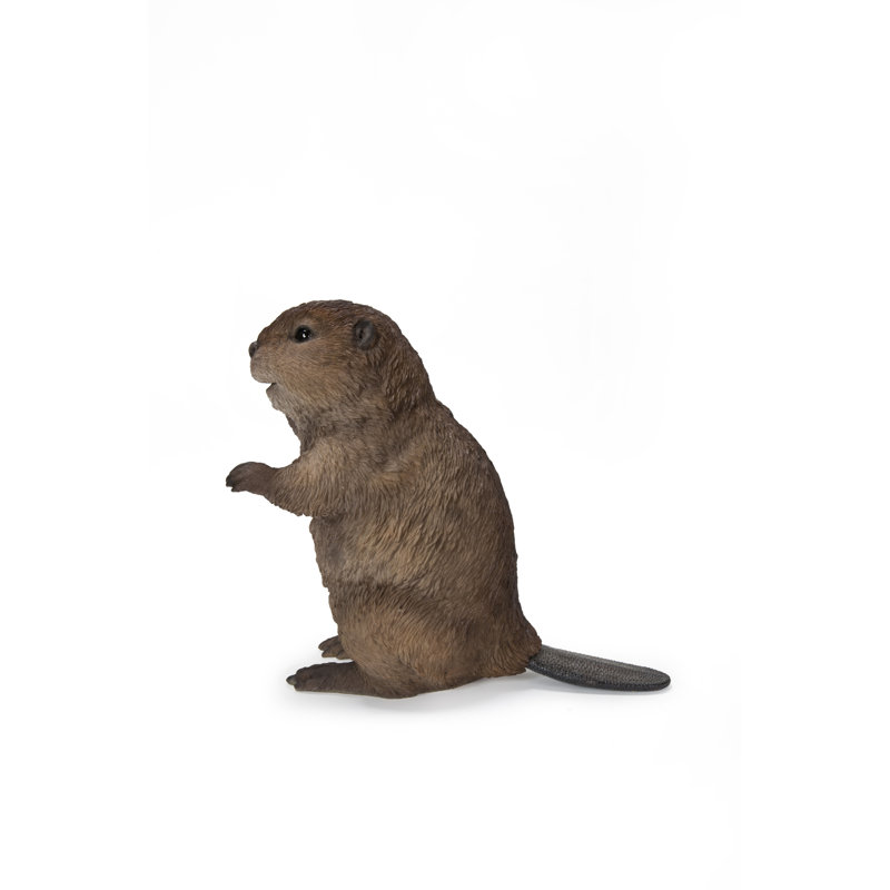 STATUE DE CUB AMERICAN BEAVER CUB