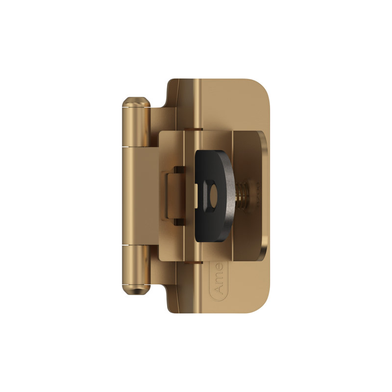 3/8" Double Demountable Self Closing Hinge , Champagne Bronze