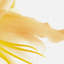 Print on Canvas-25525300