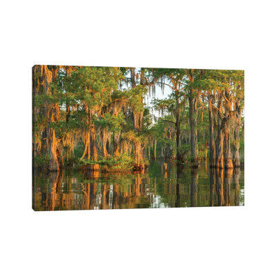 États-Unis, Louisiane, Atchafalaya National Wildlife Refuge. «Sunrise on Swamp» par Jaynes Gallery - Photographie sur toile tendue