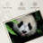 Panda Surprise-1004256830