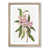 Oak Framed selected