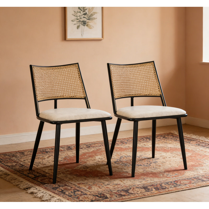 Chaises de salle à manger en rotin, chaises de cuisine rembourrées modernes, Noir