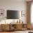 Modern Tv Stand With Rattan Doors, Storage Cabinets And Cable Holes