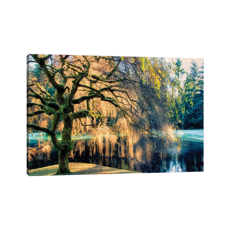 Willow - Print on Canvas, Wrapped Canvas, 30.48 cm H x 45.72 cm W