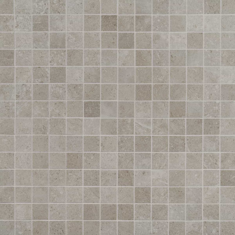 New Rock 2X2 Matte Porcelain Mosaic, Tortora Beige