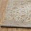 Rosemont Wool Oriental Area Rug in Ivory-552895254