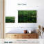 Alvord Mishakaike Forest-108736360